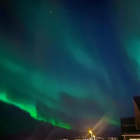 Apartment With Northern Lights And Reindeer Outside The Door *